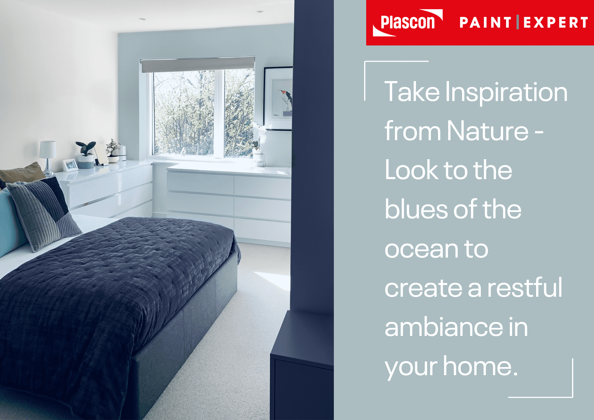 Inspiration from Nature