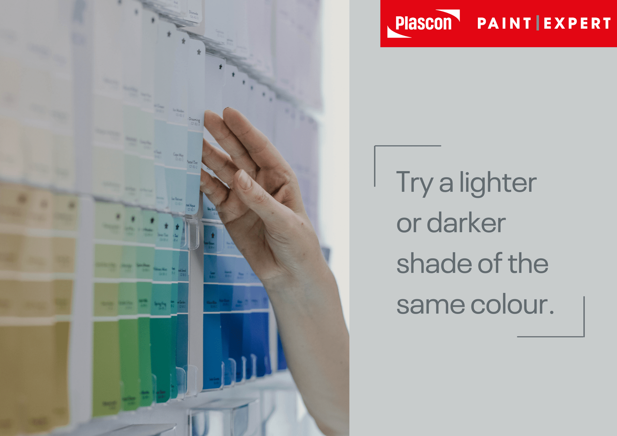 lighter or darker shade of the same colour