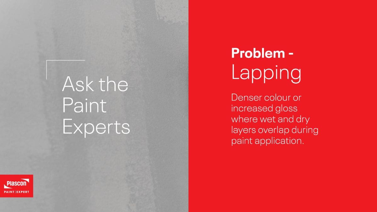 Home Plascon Paint Expert