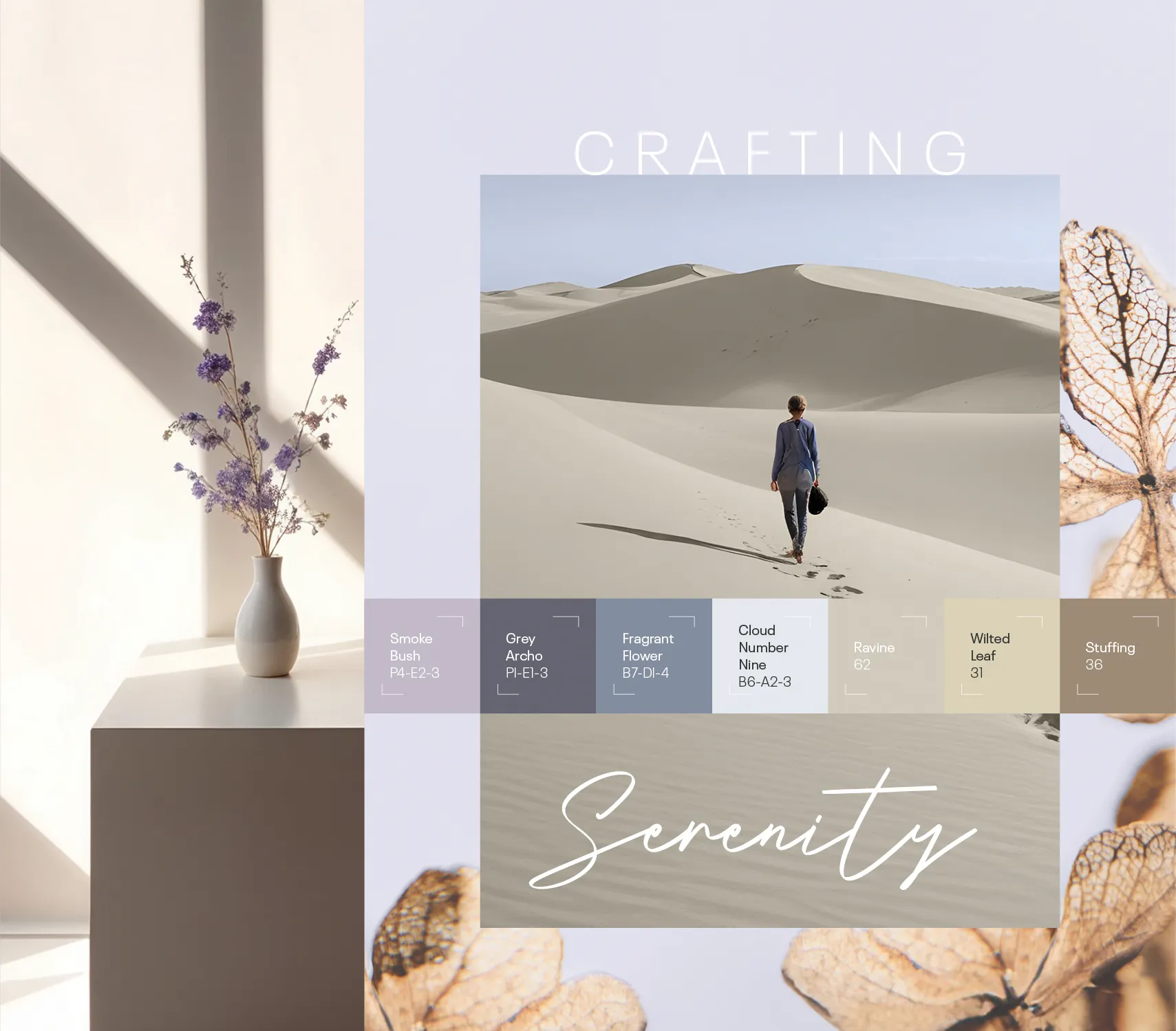 Eternal Colour Zen Spaces