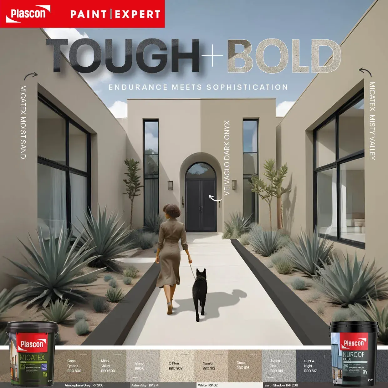 Plascon Micatex Colors