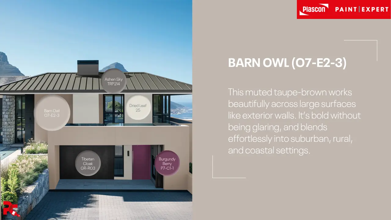 Modern Home Barn Owl
