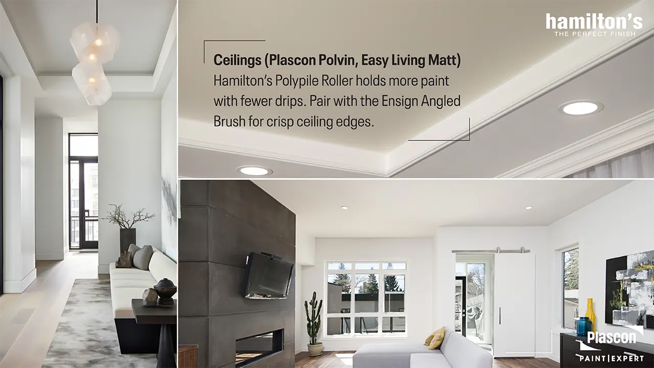 Ceilings (Plascon Polvin, Easy Living Matt)