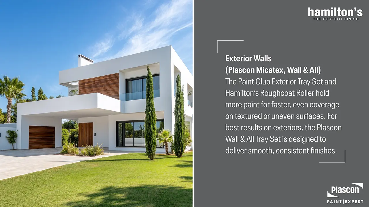 Exterior Walls (Plascon Micatex, Wall & All)