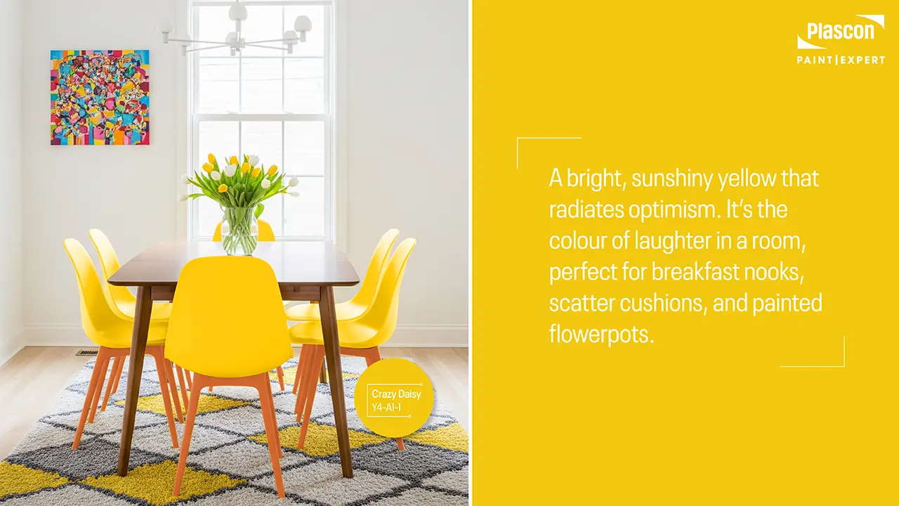 Dining room modern 1_Yellow_Crazy Daisy