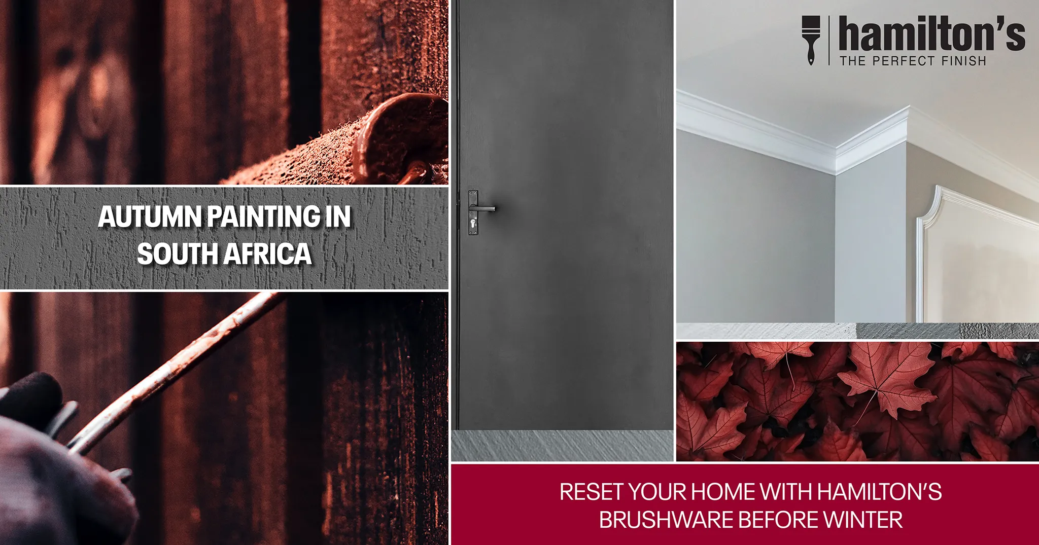 Autumn Painting in South Africa