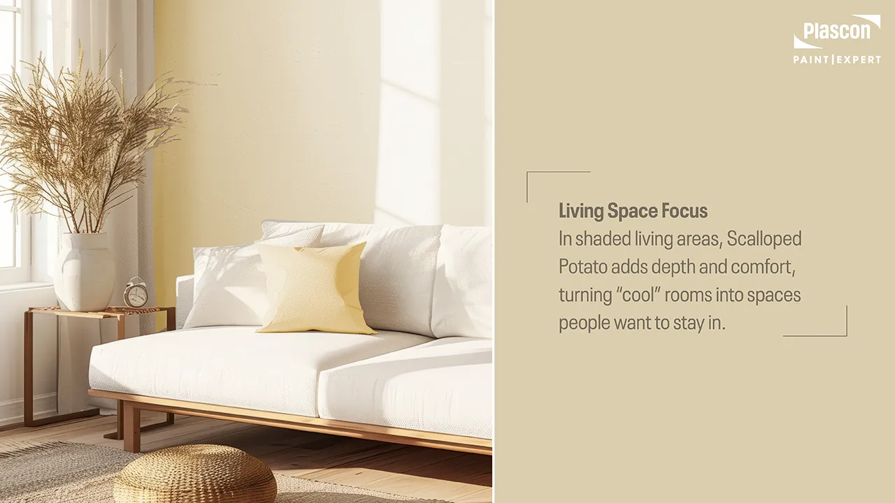 Living Space Focus