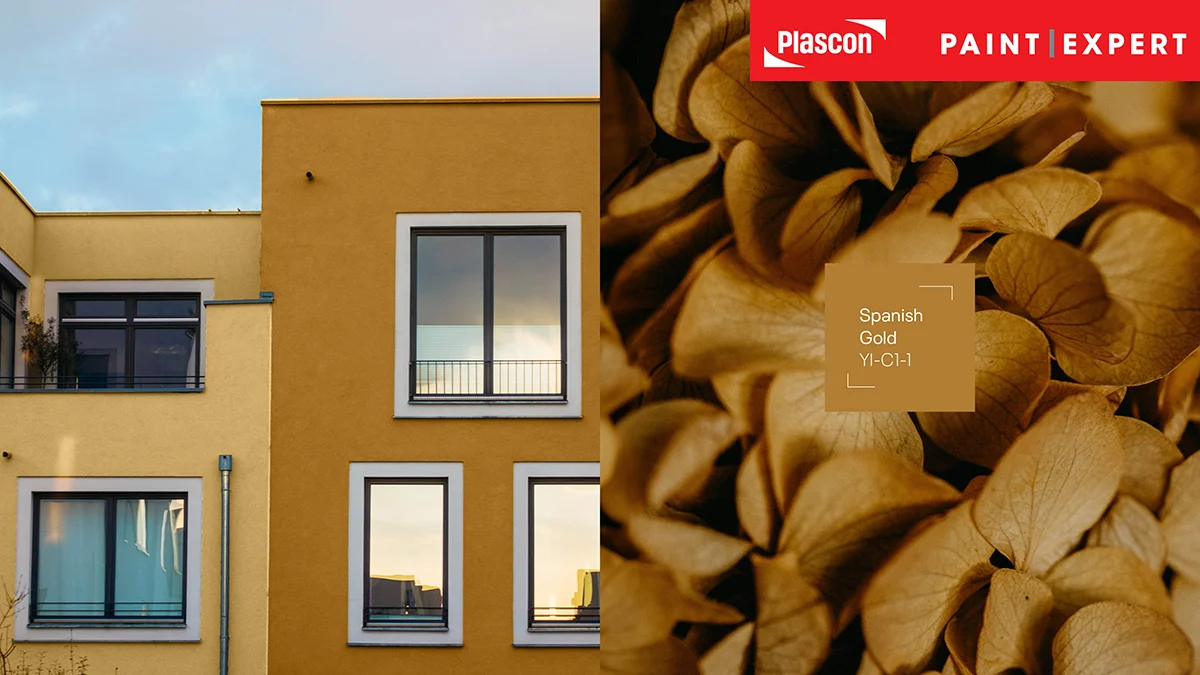 Contemporary - Spanish Gold