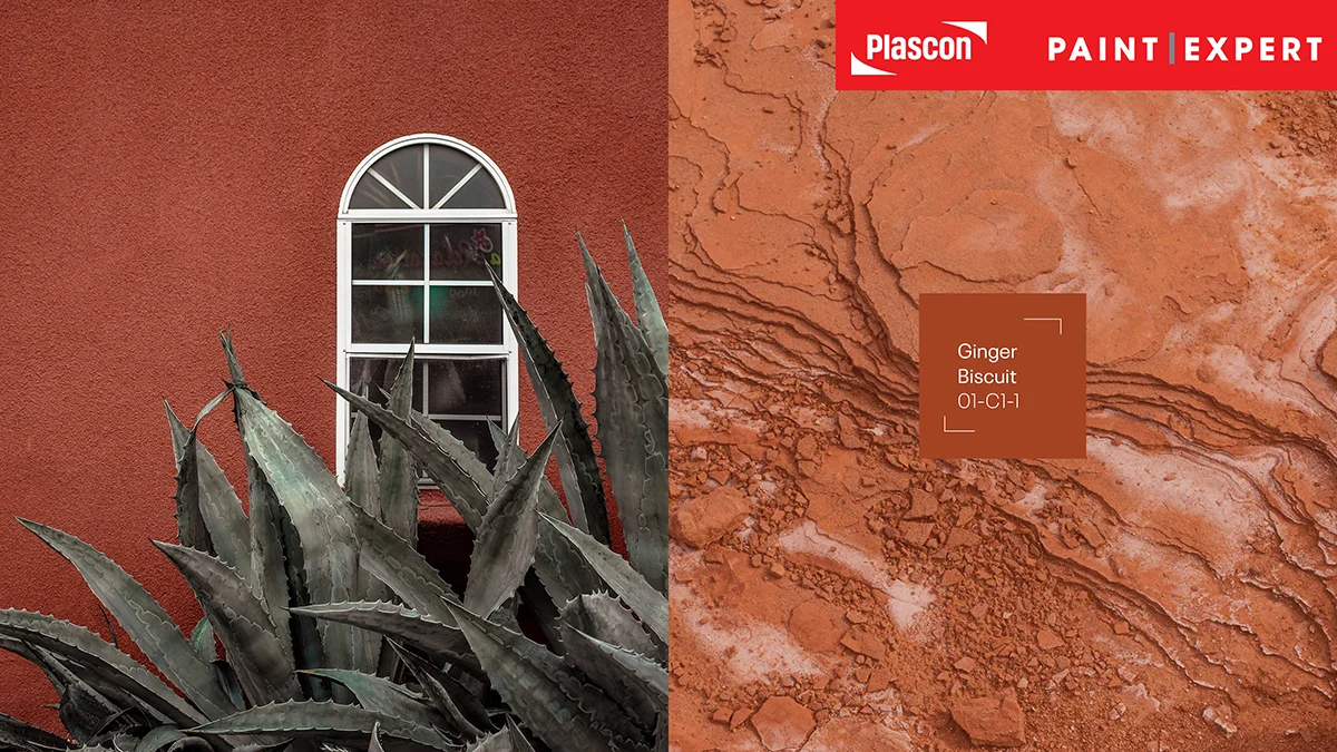 Contemporary - Ginger Biscuit