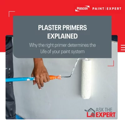 Plaster Primer Explained
