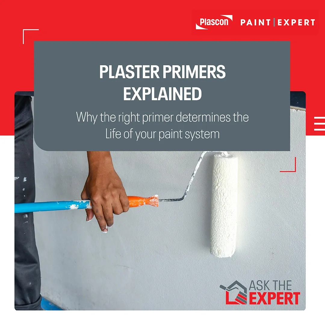 Plaster Primer Explained