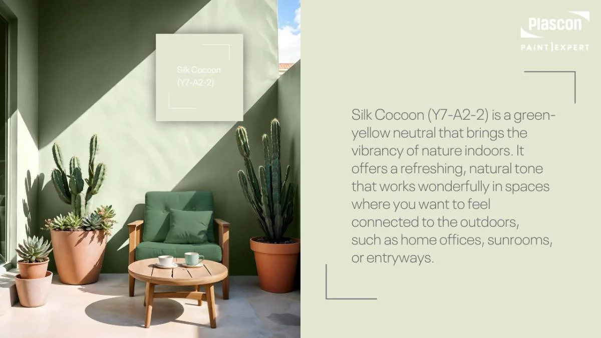 Bohemian - Silk Cocoon