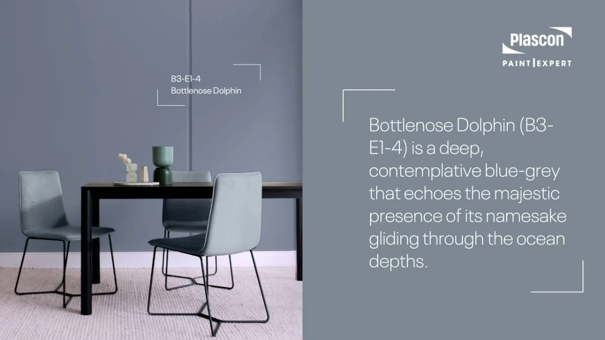 Contemporary Dining Room - Bottlenose Dolphin