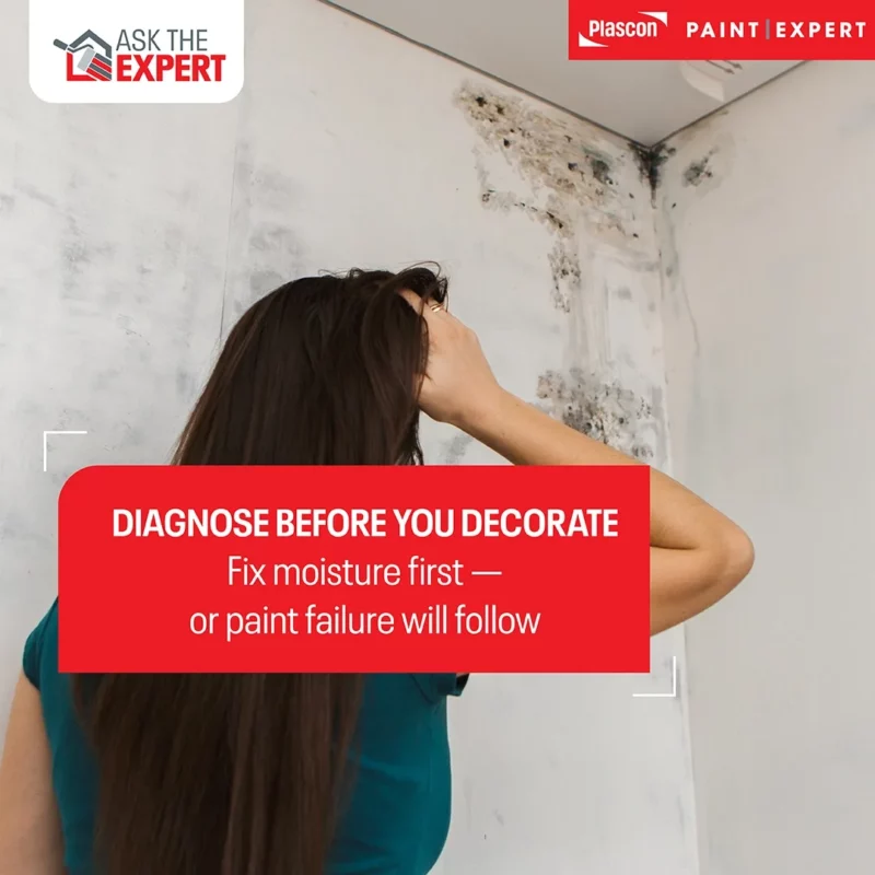 Diagnose Before You Decorate