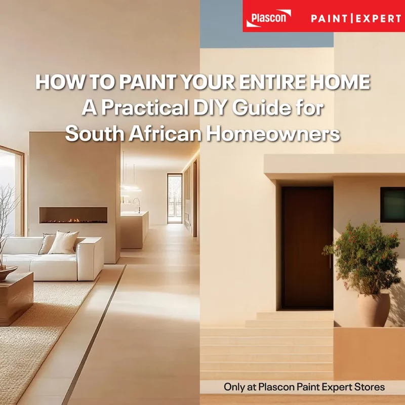 How To Paint Your Entire Home Guide