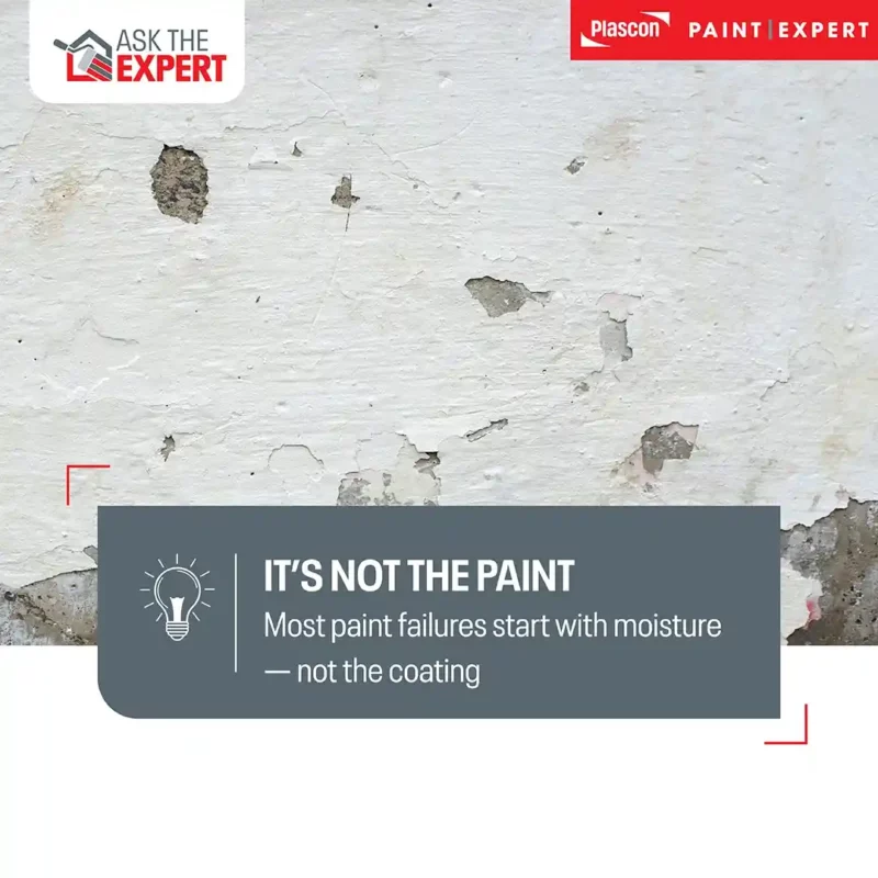 It's Not The Paint