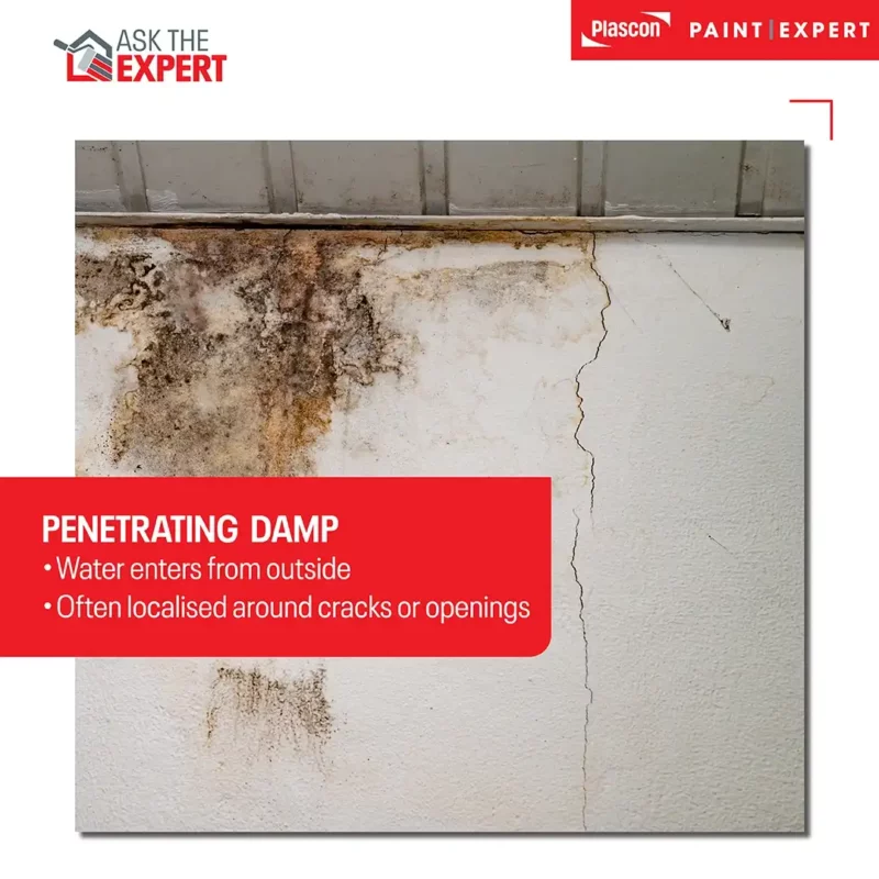 Penetrating Damp