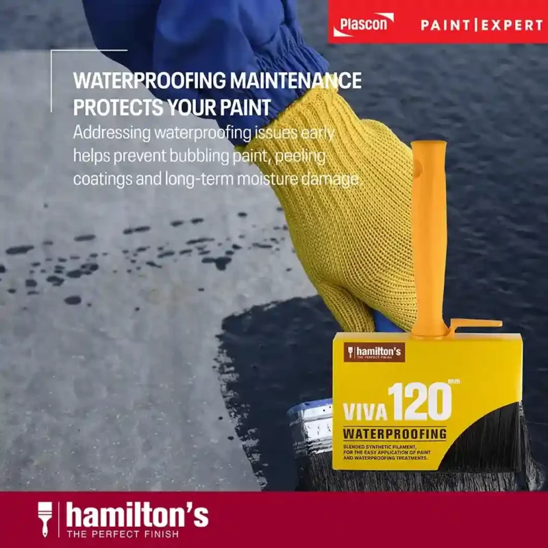 waterproofing maintenance protects your paint