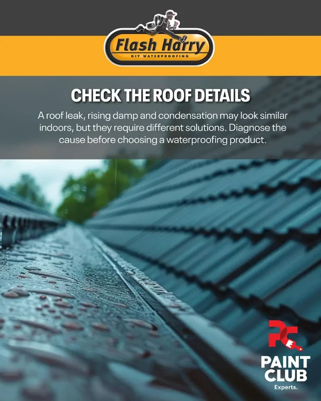 Check The Roof Details