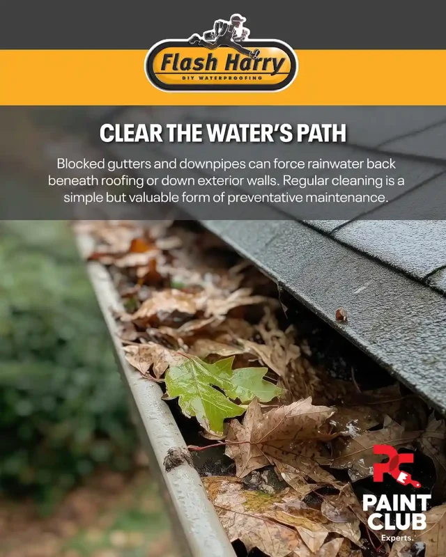Clear The Waters Path
